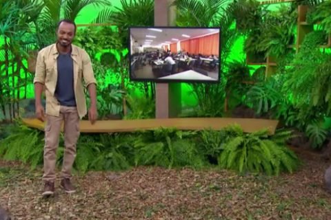 O som que poluí. Os ruídos são a segunda principal causa de poluição no mundo